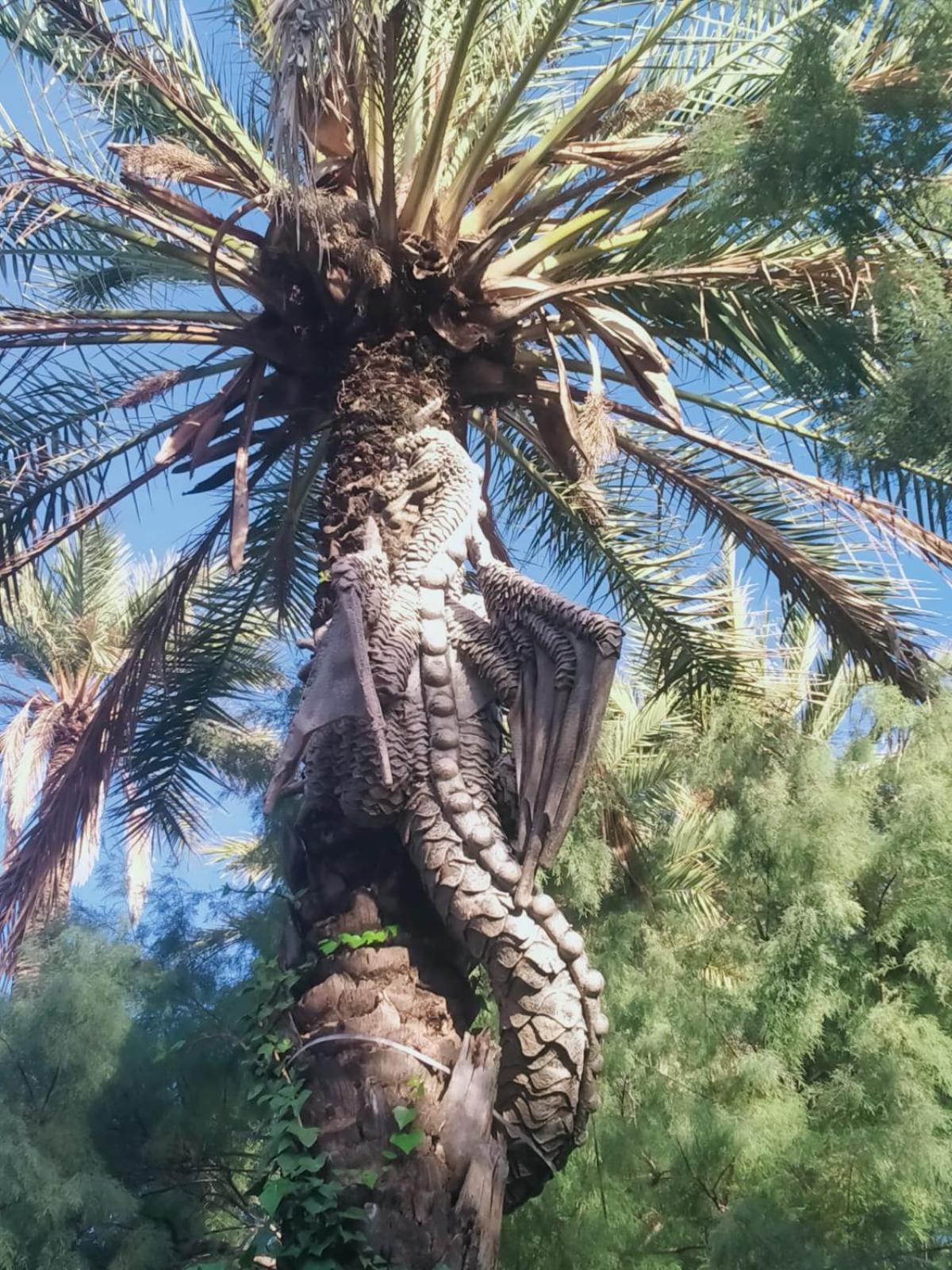 Sol De Mar, La Mata Daire La Mata  Dış mekan fotoğraf