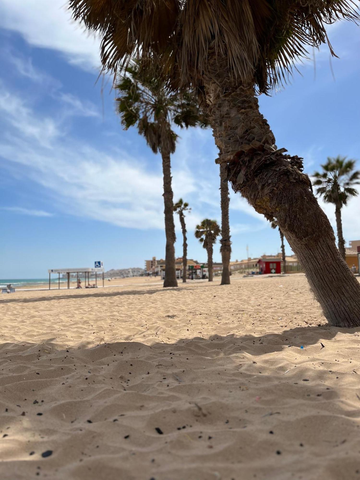 Sol De Mar, La Mata Daire La Mata  Dış mekan fotoğraf