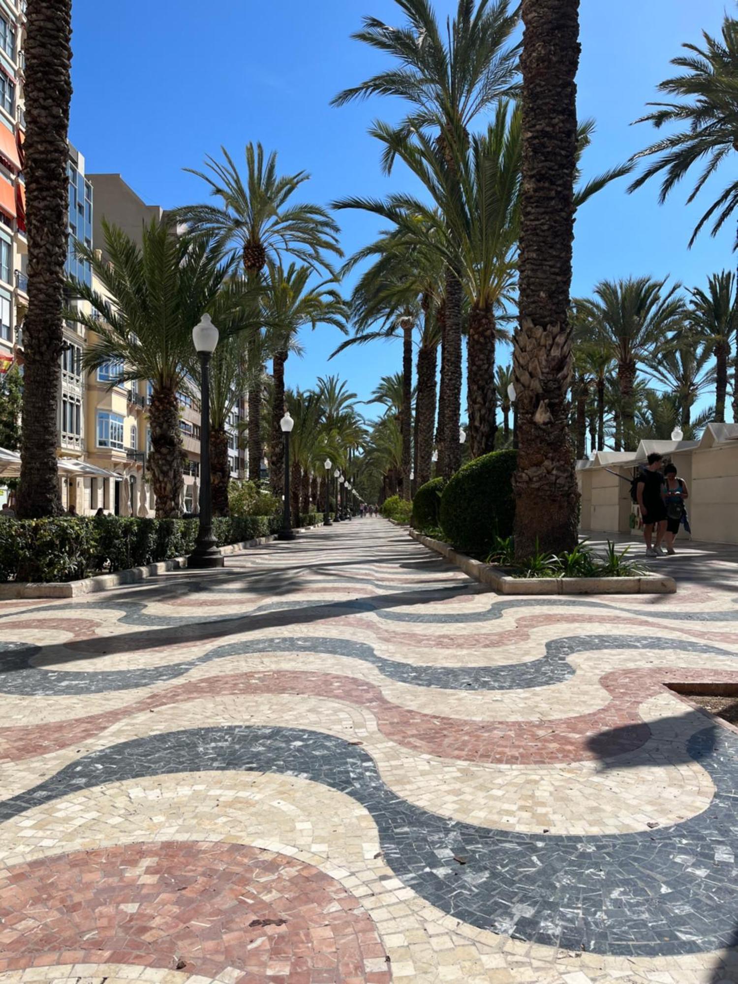 Sol De Mar, La Mata Daire La Mata  Dış mekan fotoğraf