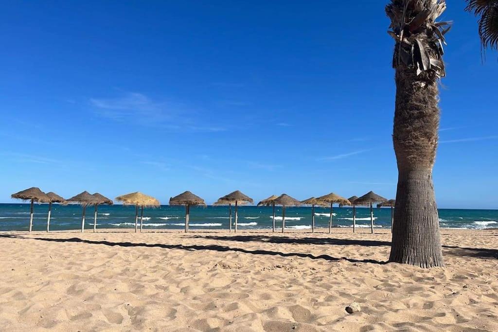 Sol De Mar, La Mata Daire La Mata  Dış mekan fotoğraf