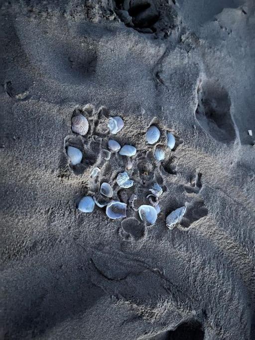 Sol De Mar, La Mata Daire La Mata  Dış mekan fotoğraf
